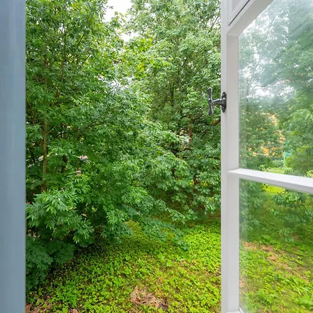 Brand New Kalma 塔林