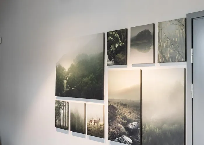 Brand New Kalma * Tallinn