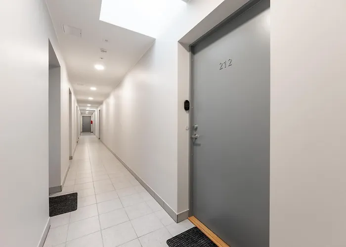 Brand New Kalma * Tallinn